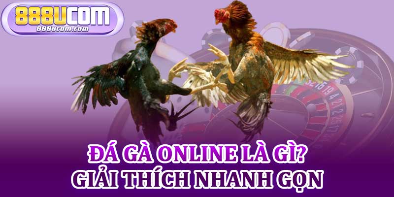 Đá Gà Online Là Gì? Giải Thích Nhanh Gọn