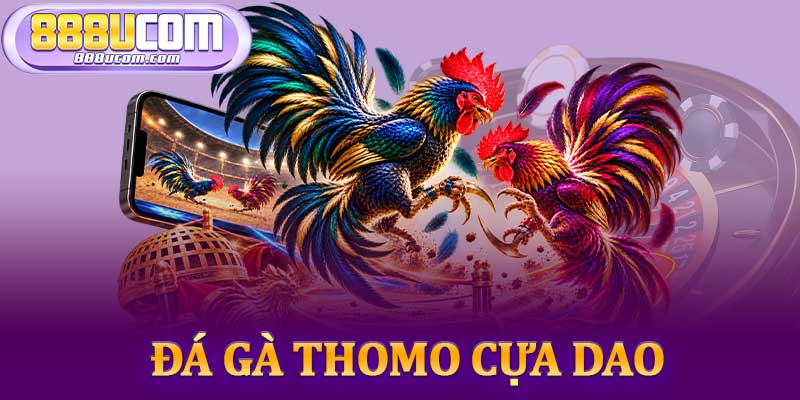 Đá Gà Thomo Cựa Dao